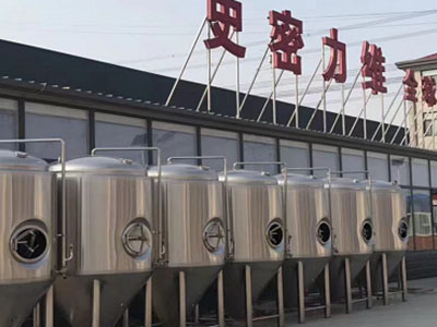 牡丹精酿啤酒设备厂—如何判断精酿啤酒设备的密封件需要更换？